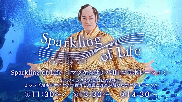 「Sparkling of Life」-「マツケンサンバII」コラボレーション-