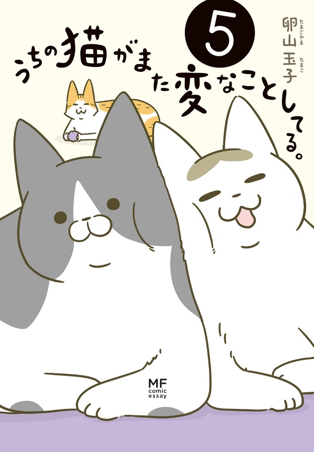 『うちの猫がまた変なことしてる。5』