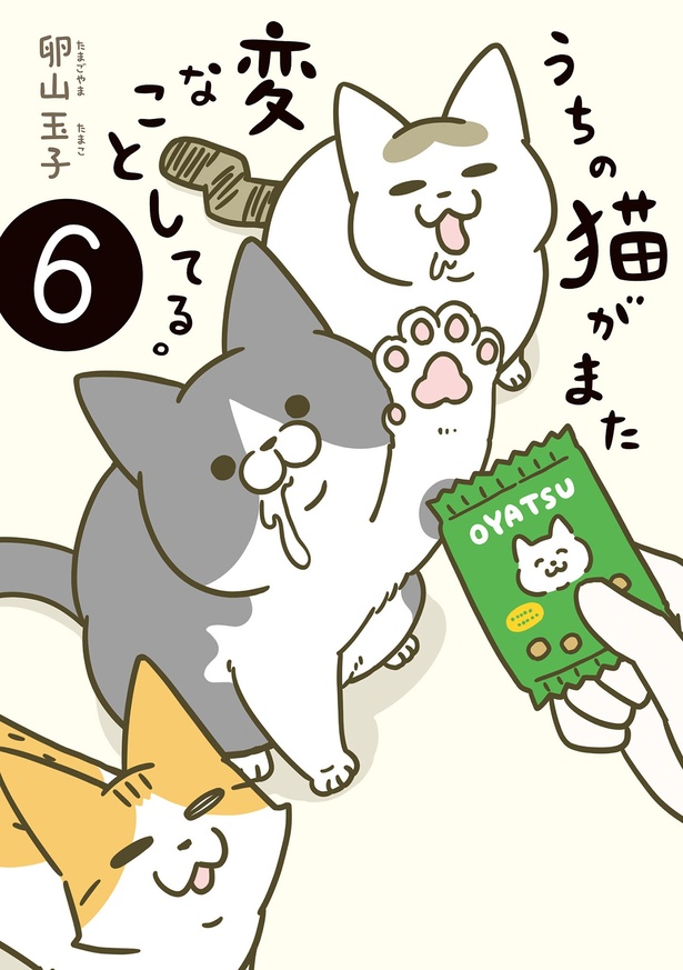 『うちの猫がまた変なことしてる。6』