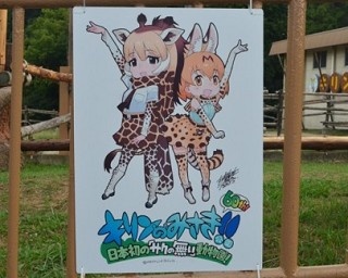 「けもフレ」コラボ開催中のみさき公園、公式Twitterが“期間限定”の理由