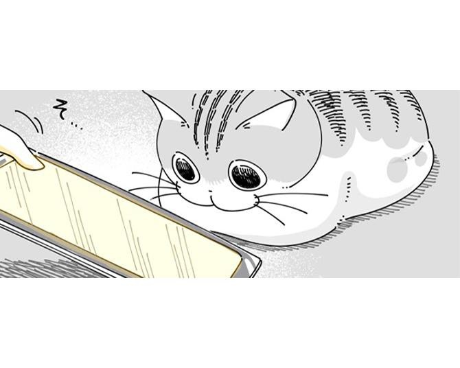 【ネコ漫画】猫用のアプリ動画に驚くほど無反応な愛猫!?「うちの猫も思い通りに反応しない」とSNSで共感コメントが殺到