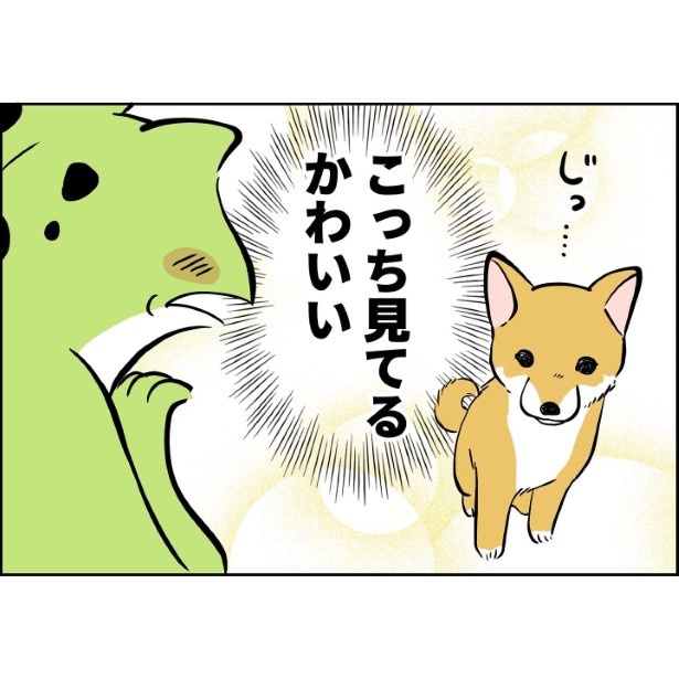 犬が家族になってから1_003