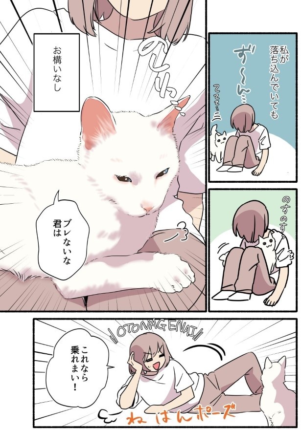 白い猫と暮らしている漫画6話P003