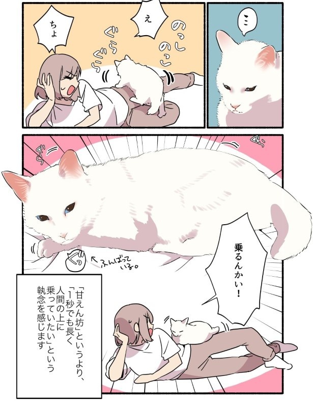 白い猫と暮らしている漫画6話P004