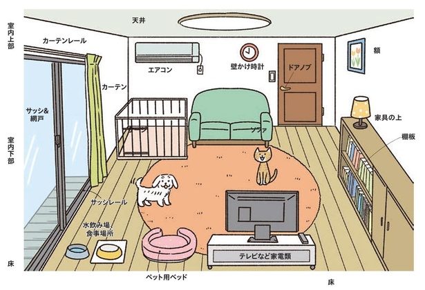 ペット 部屋 掃除