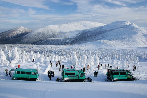 雪上車で行く樹氷鑑賞ツアーは是非参加したい / マウンテンフィールド宮城蔵王すみかわスノーパーク