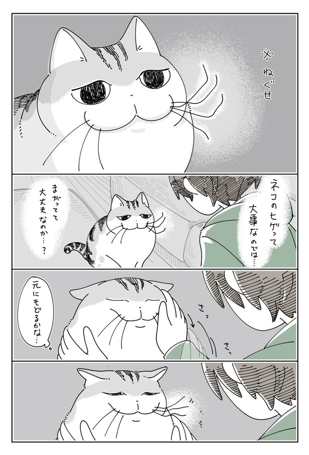 ネコ漫画】取り調べのごとく飼い主を疑う猫の姿に「あるある」と共感 