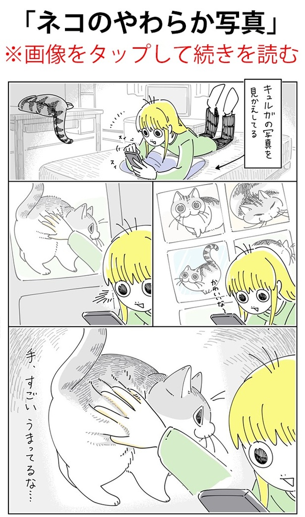 「ネコのやわらか写真」01