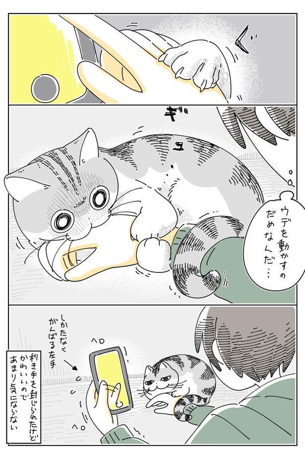 画像131 / 413＞【ネコ漫画】取り調べのごとく飼い主を疑う猫の姿に