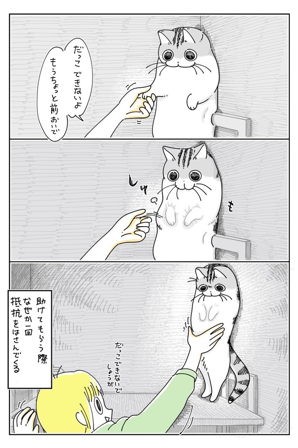 「おりたいけどおりたくないネコ」03