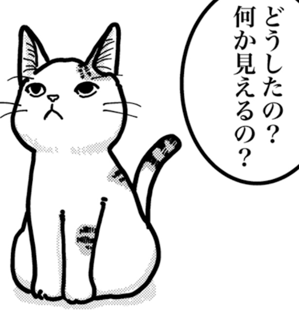 キャットタワーのてっぺんをじーっと見つめる猫。何が見えてるの？