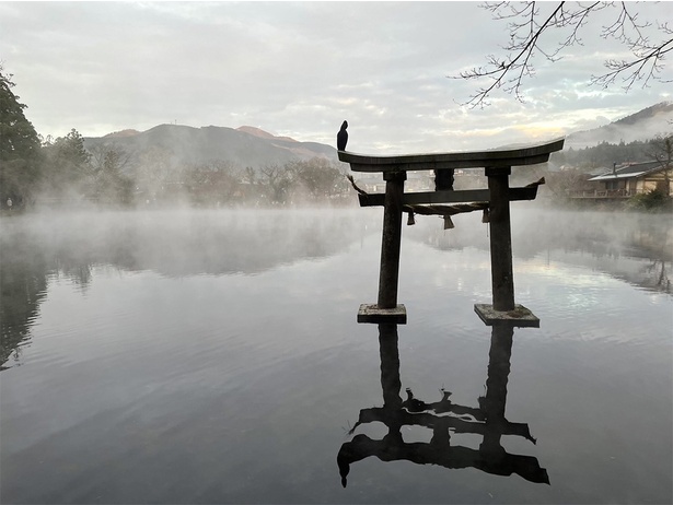 金鱗湖の中に立つ天祖神社の鳥居
