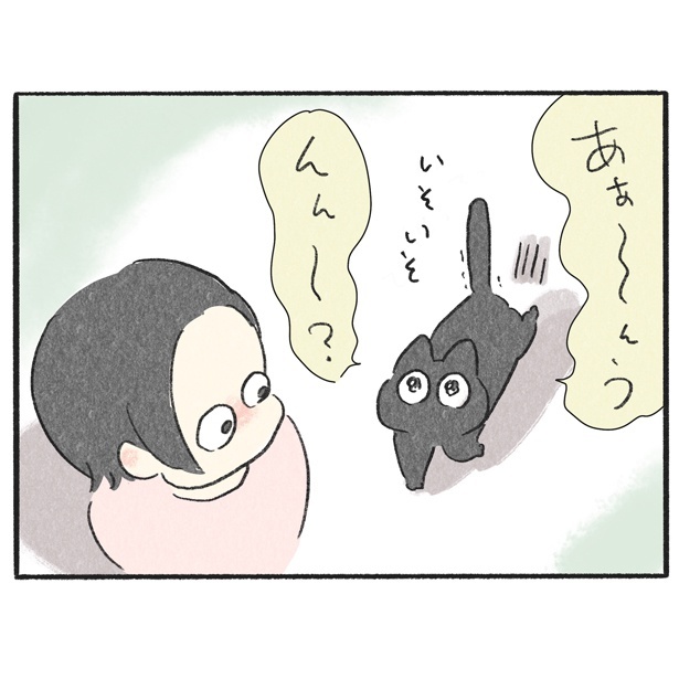 くろもとぽんず～うちの猫がかわいすぎる！～