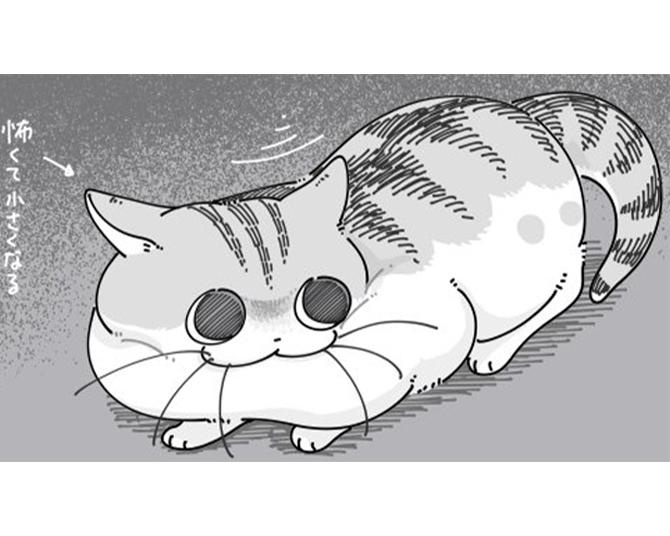 【ネコ漫画】警戒心が強すぎる愛猫!?人見知りする姿に「逃げ方かわいい」「これはそそる」とSNSで9万超えいいね！