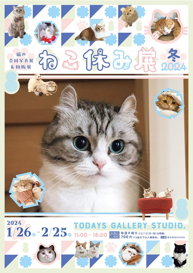 ねこまみれ”の癒やされる空間で新年幕開け！「ねこ休み展」冬の本祭が