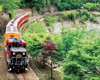 京都で自然の“涼”を体験！嵯峨野で夏季限定「トロッコ納涼車」が発車