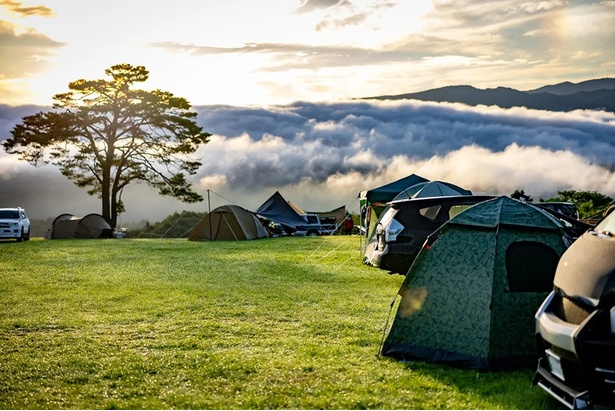 キャンプ場からは、早朝に雲海が見られることも！