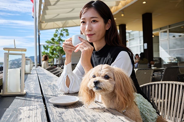 愛犬を連れてのレジャーを楽しむ飼い主も多い(※イメージ)