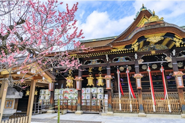 「北野天満宮」は、京都内でも有数の梅の名所としても知られている