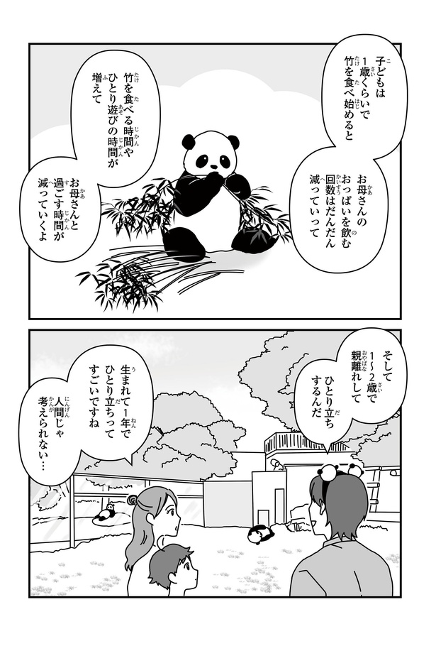 「パンダのミライー浜家・良浜 いのちの物語ー」#9(5/10)