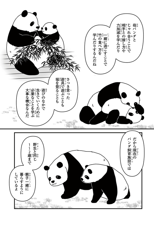 「パンダのミライー浜家・良浜 いのちの物語ー」#9(7/10)
