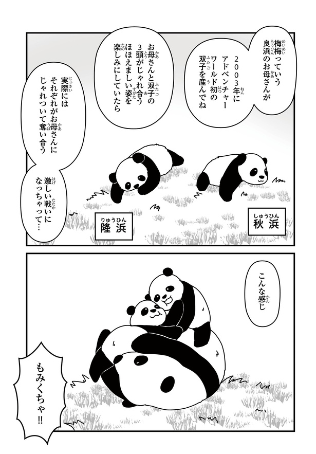 「パンダのミライー浜家・良浜 いのちの物語ー」#9(9/10)