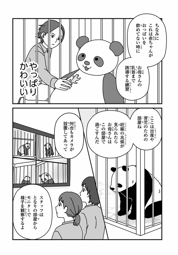 「パンダのミライー浜家・良浜 いのちの物語ー」#4(6/10)