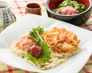 【九州】人気SA・PAのヒンヤリ旨い“冷やしうどん”3選