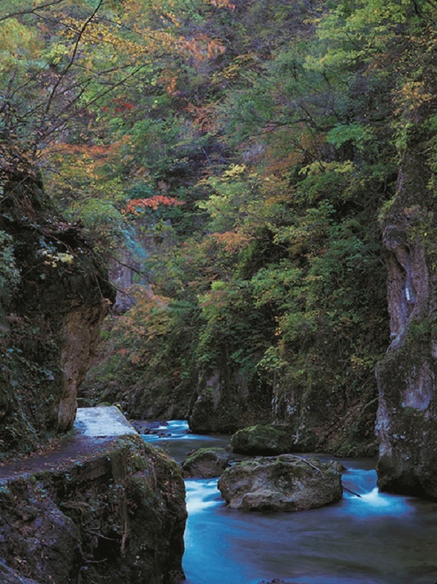 峡谷を流れる大谷川の清流
