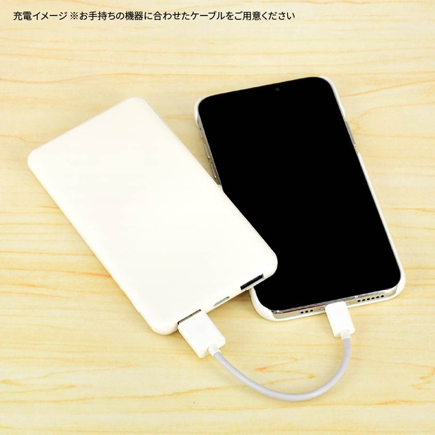 スマホと同じサイズ感なので、ポケットにもスルッと入る
