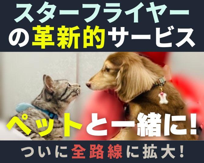 コロナ禍から驚異の回復をみせたスターフライヤーが、ペットと一緒の空の旅を提供。革新的なサービス「FLY WITH PET！」を全路線に拡大した理由と今後の計画とは