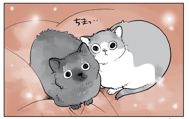 「こねこのドレイ3」3/20