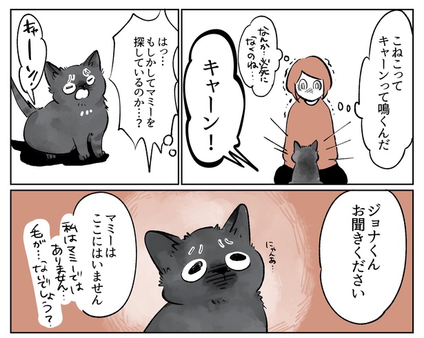 「こねこのドレイ3」9/20