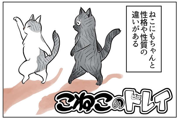 「こねこのドレイ2」1/16