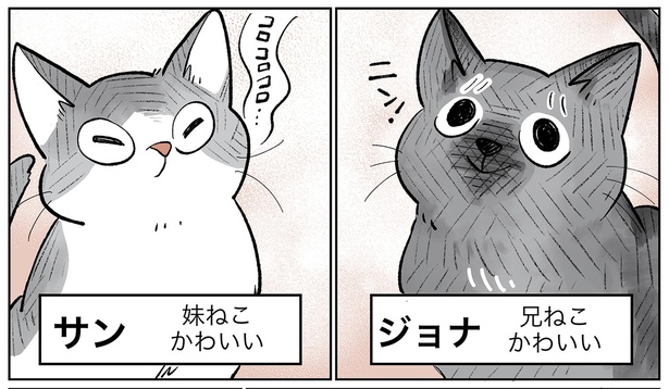 「こねこのドレイ1」4/19