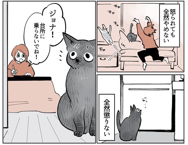 「こねこのドレイ9」8/16