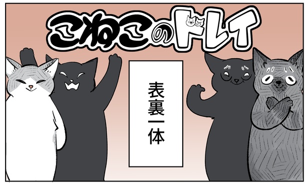 「こねこのドレイ7」1/19