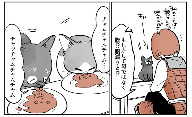 「こねこのドレイ3」11/20