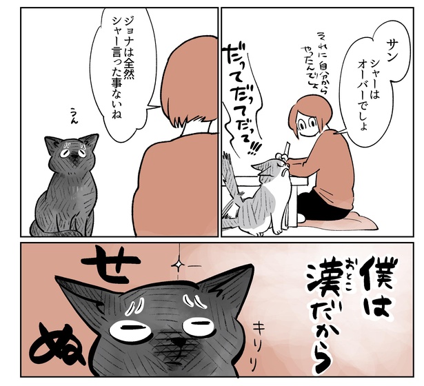 「こねこのドレイ2」7/16