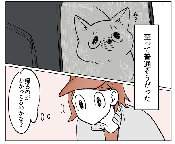 「こねこのドレイ6」17/19