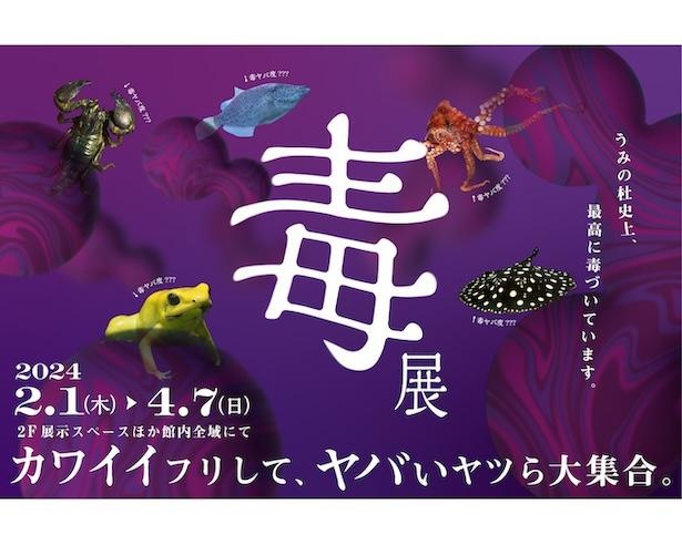 「仙台うみの杜水族館」で、“毒”を持つ生き物について学べる企画展「毒展」が開催！担当者に聞く、狙いと見どころ