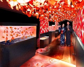 すみだ水族館が「東京金魚ワンダーランド」を開催中！