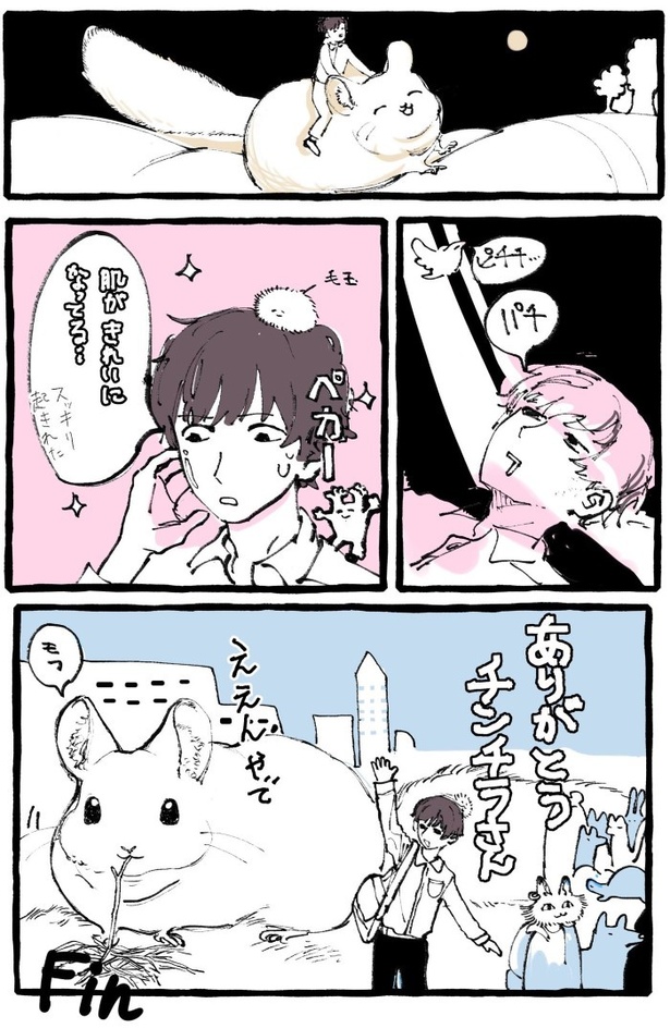 チンチラ寝台車_P04