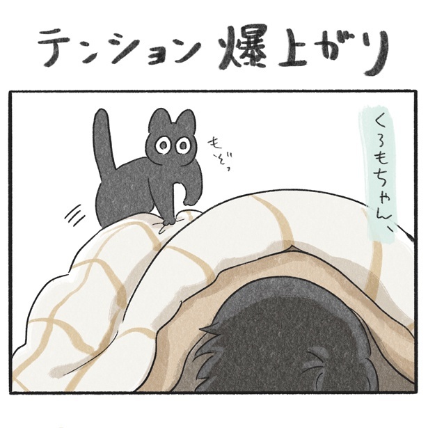 くろもとぽんず～うちの猫がかわいすぎる！～より