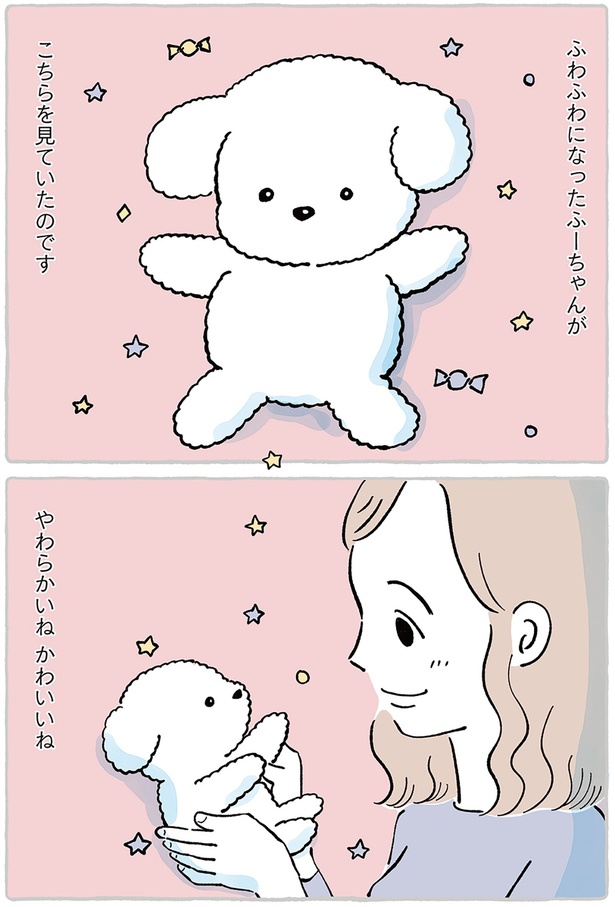 小さい頃からいつも一緒！ ぬいぐるみ病院へ大切なお友だちを預けてみ