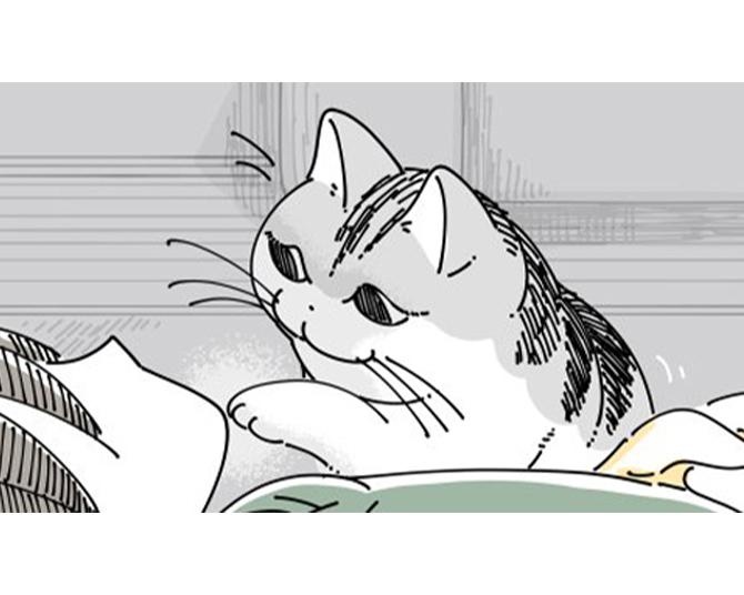 【ネコ漫画】愛猫にツンツンされて起きる飼い主!?「うちの猫もします」「優しいですね」などSNSで共感コメントの嵐！