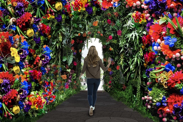 【写真】高さ約4メートル、幅約9メートルの「Flower Dome」で、全身で春を体感しよう