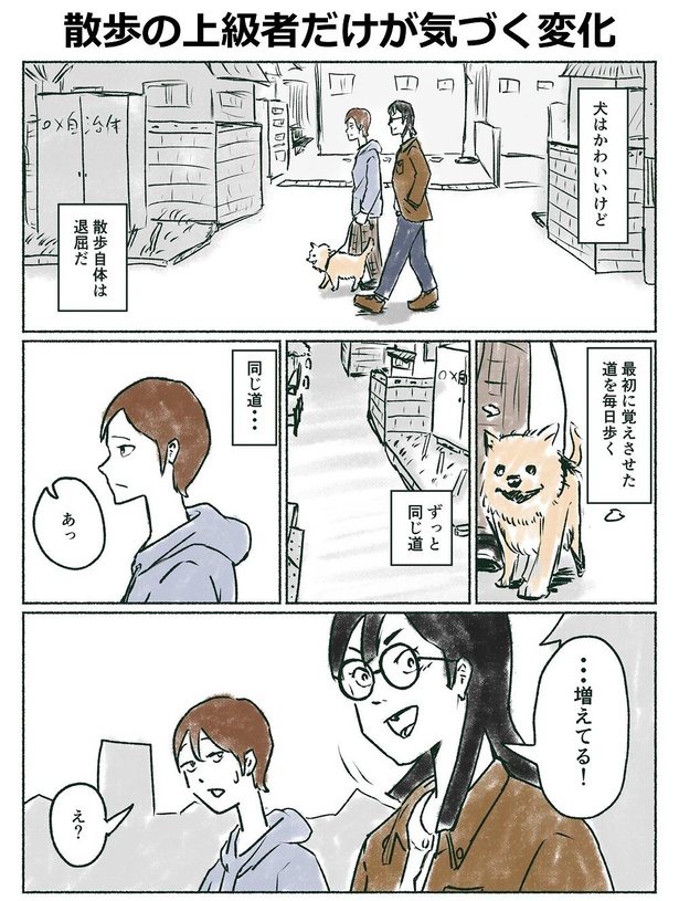 「散歩歩の上級者だけが気づく変化」1
