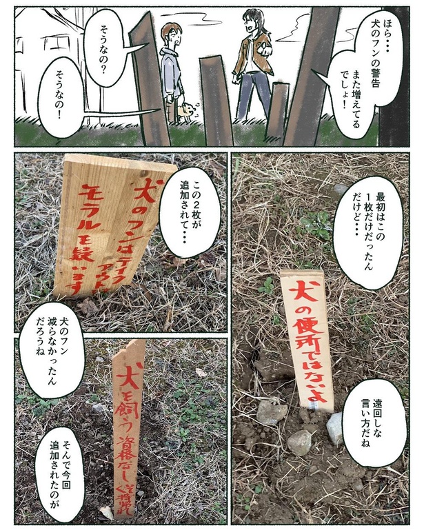 「散歩歩の上級者だけが気づく変化」2
