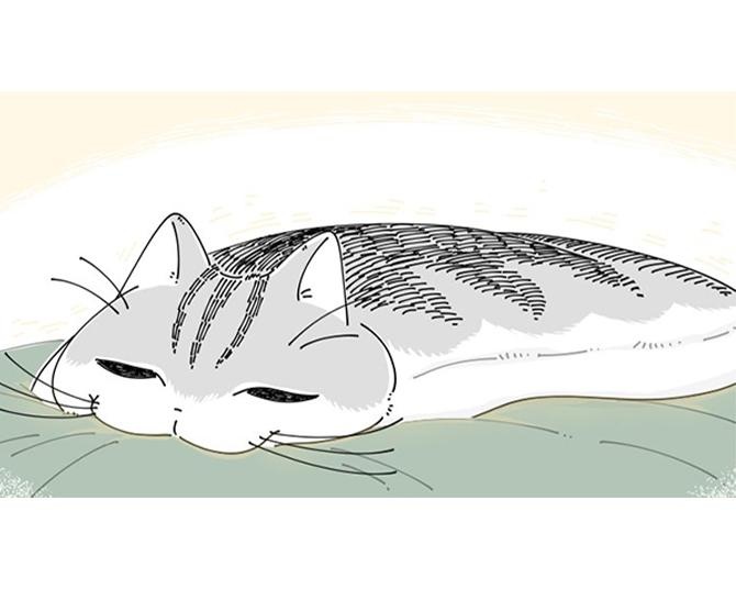 【ネコ漫画】飼い主の身体に乗ってくる愛猫!?その温もりに「天然湯たんぽ」「めっちゃわかる」とSNSで共感の声多数